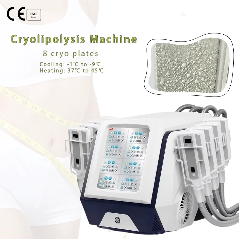 Professionelles tragbares Kryo – Cryolipolysis Fat Freezing Machine Bewertung und Preis